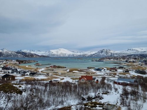 signal-2025-03-24-190029 004